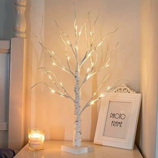 Birch tree light
